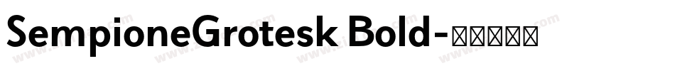 SempioneGrotesk Bold字体转换